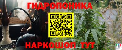 СК Камышлов
