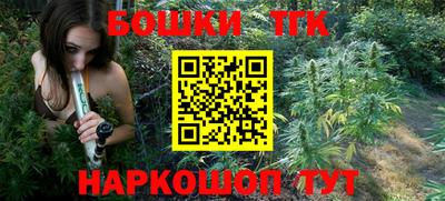 МДПВ Кингисепп