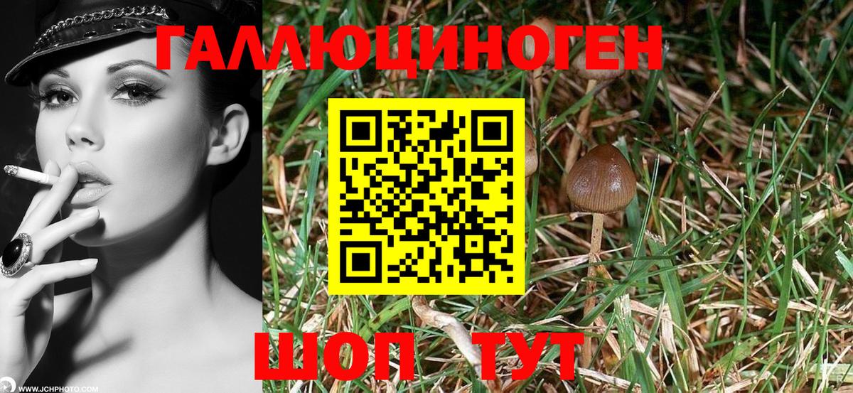 Галлюциногенные грибы мицелий  Вход с VPN  Псилоцибиновые грибы MAGIC MUSHROOMS  Куйбышев 